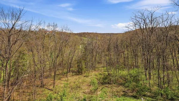 $1,100,000 | 4 Linden Trail, Galena, IL 61036