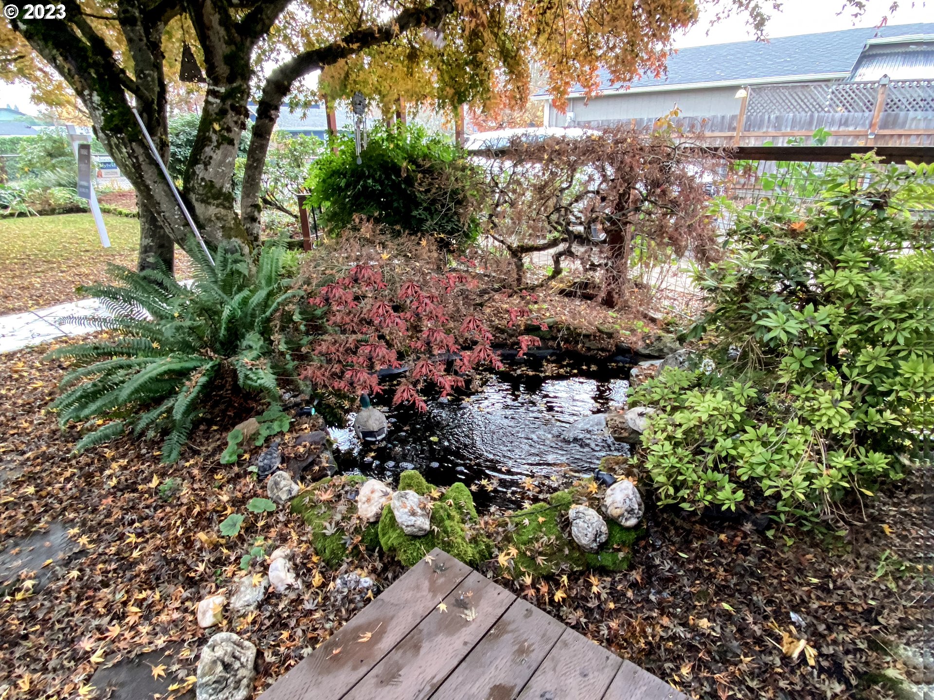 1344 S Street Springfield, OR 97477 - Photo 4 of 30 Pond