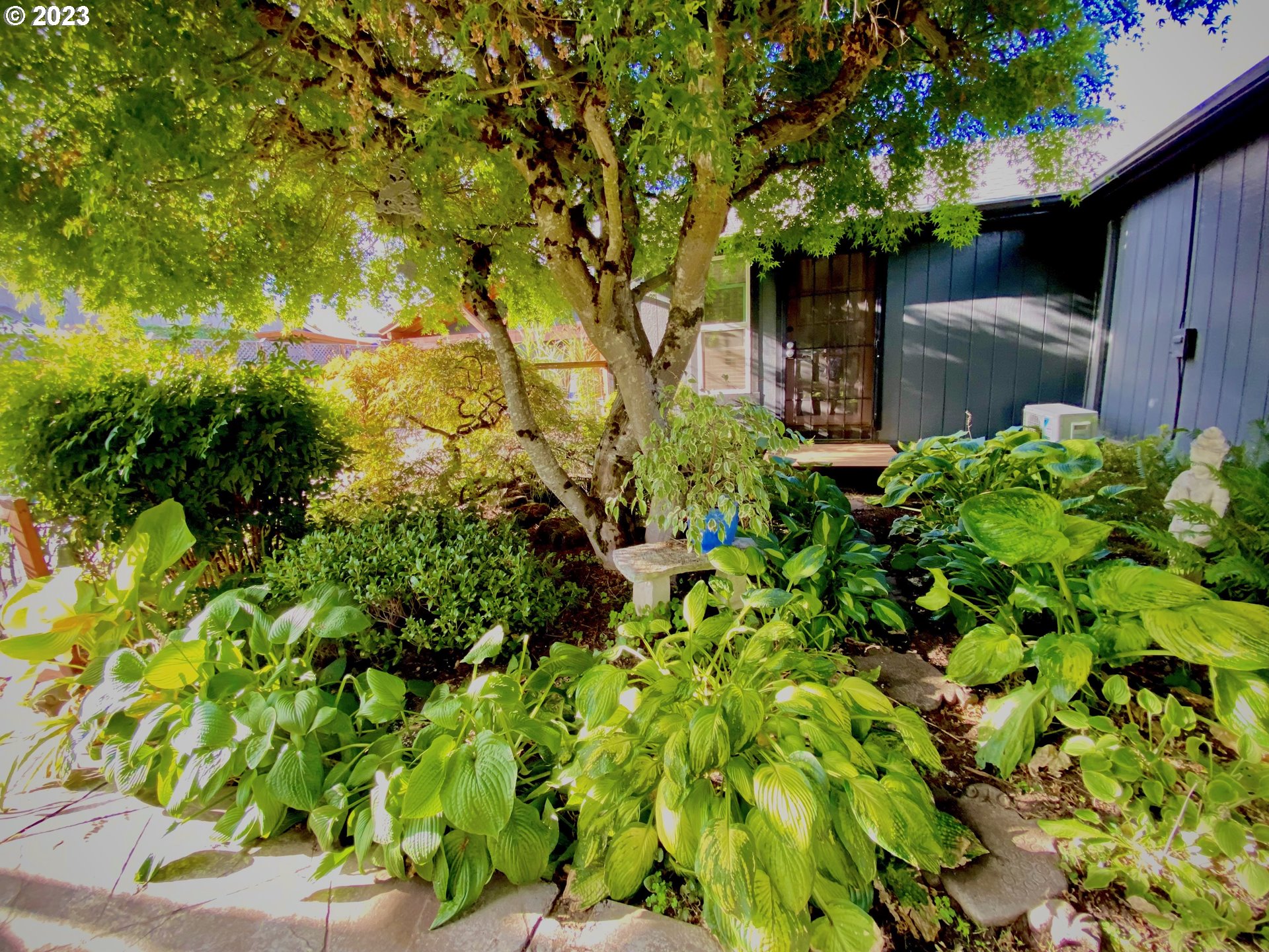 1344 S Street Springfield, OR 97477 - Photo 9 of 30 a backyard of a house with lots of green space