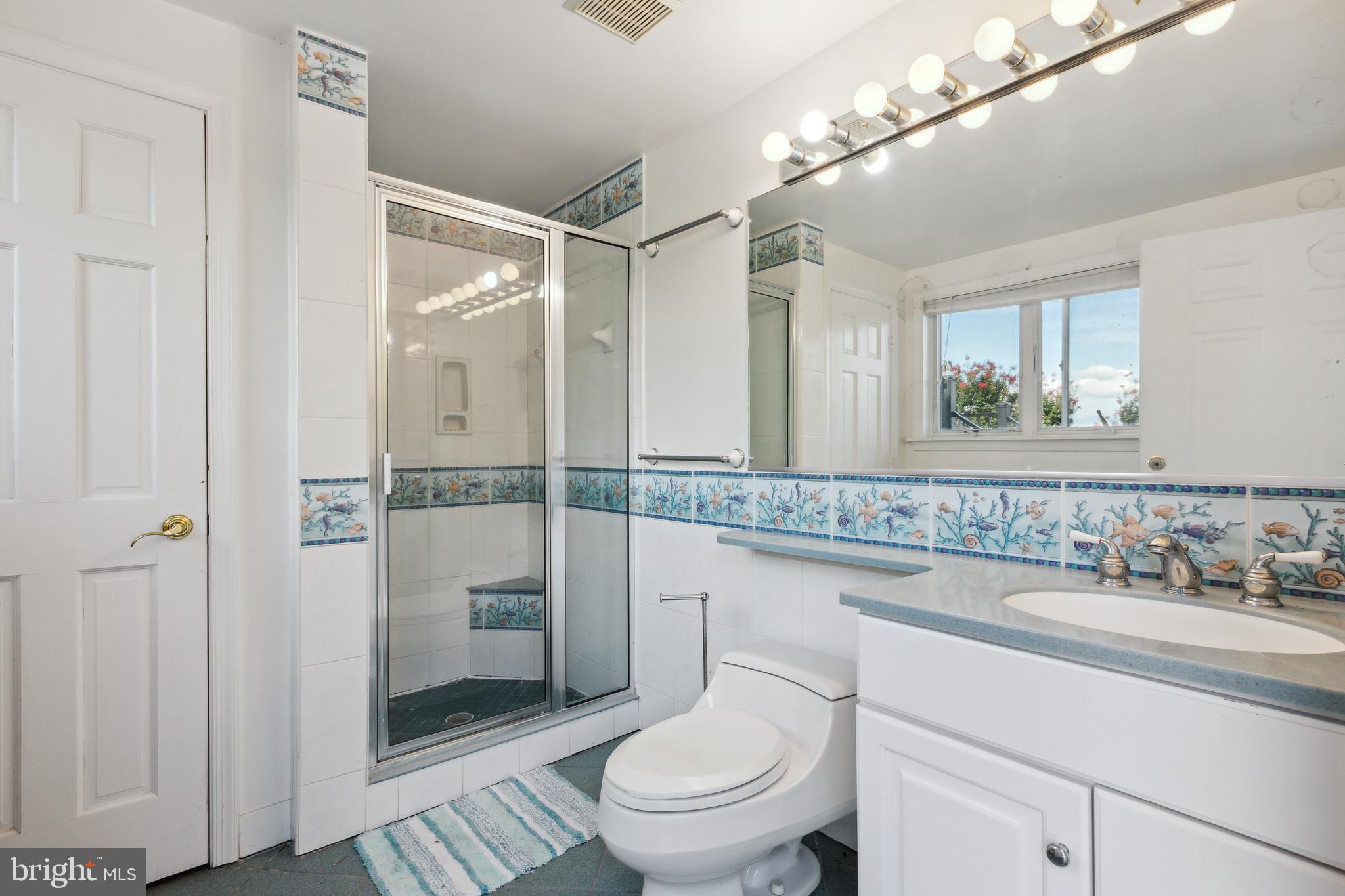 3247 Mountain Road Haymarket, VA 20169 - Photo 87 of 98 Pool House Bathroom