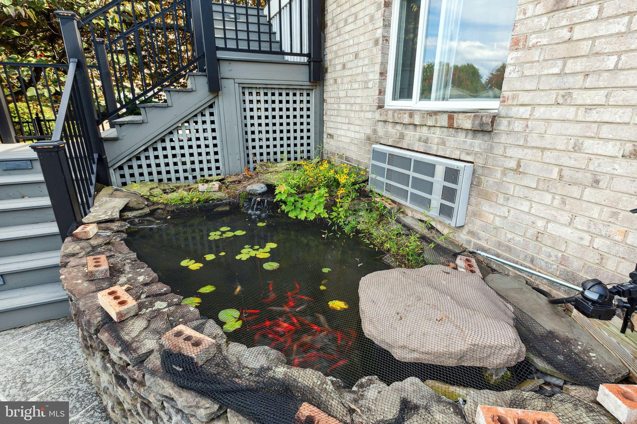 3247 Mountain Road Haymarket, VA 20169 - Photo 88 of 98 KOI Pond