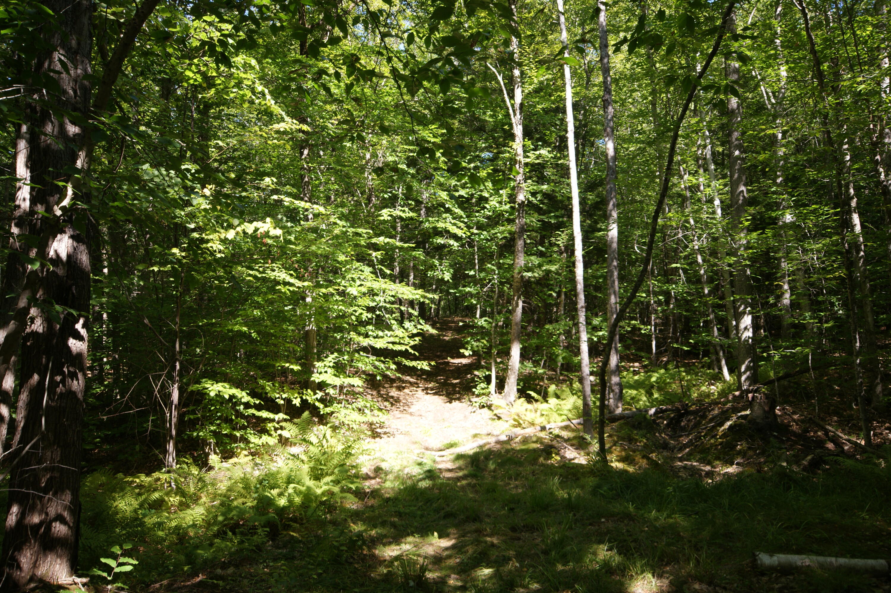 795 Knights Hill Road Harrison, ME 04040 - Photo 61 of 63 DSC06591