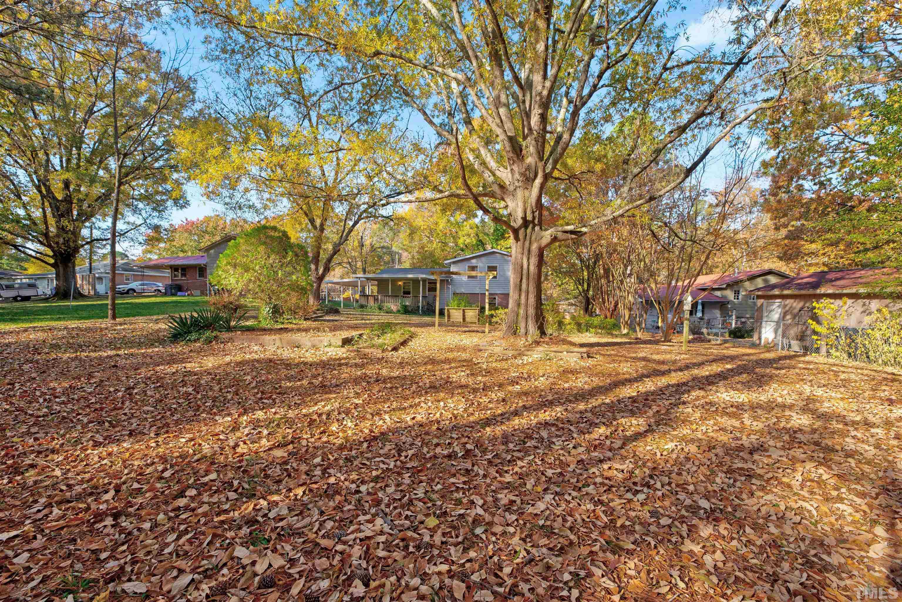 1807 Euclid Road Durham, NC 27713 - Photo 4 of 19 a view of road with large trees