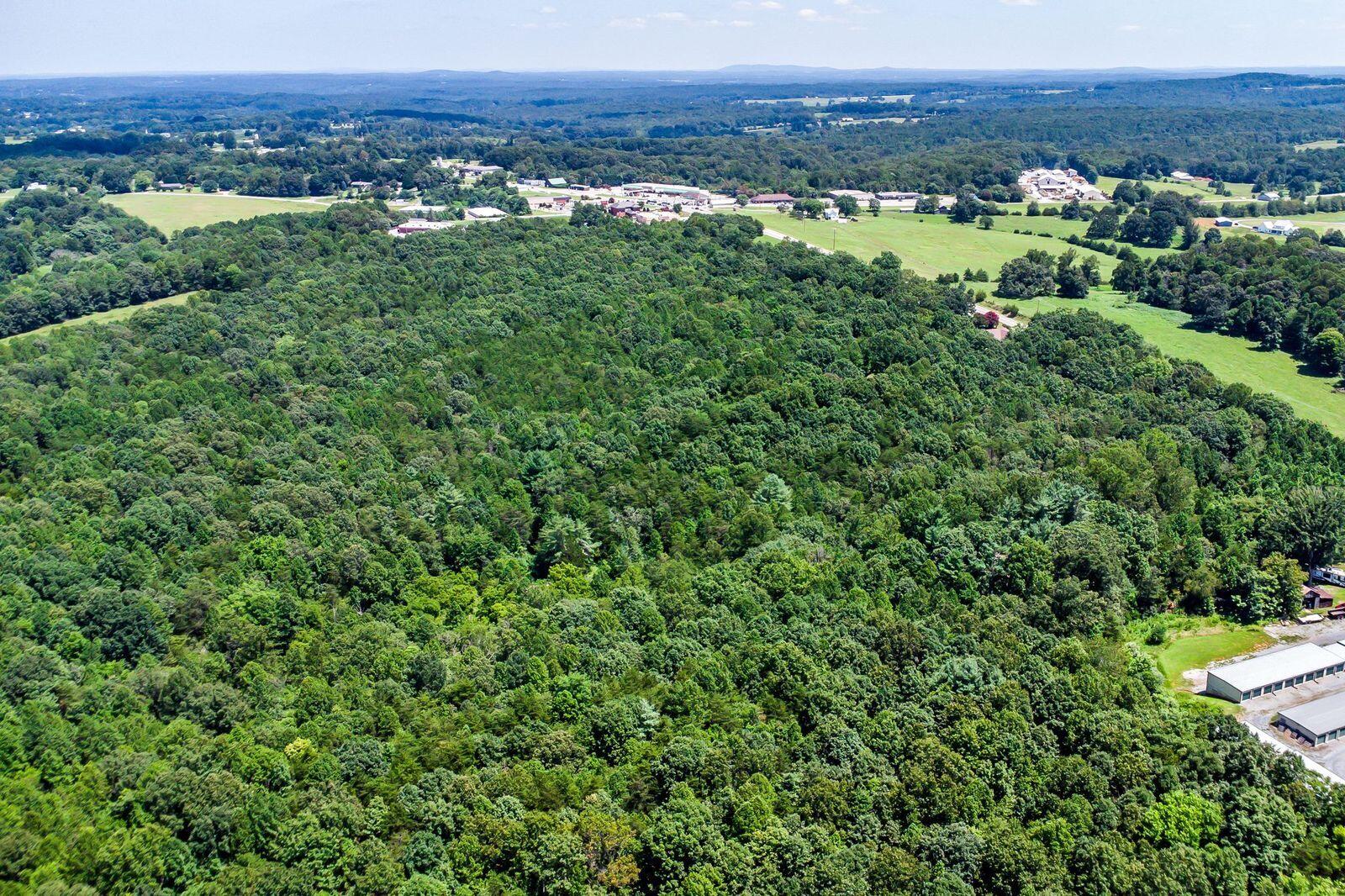 15093 Moneta Road Moneta, VA 24121 - Photo 10 of 13 a view of a lush green field