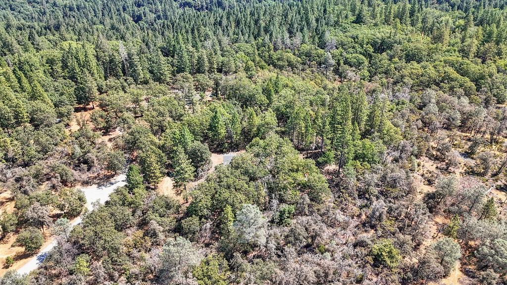 328 Antler Ridge Greenwood, CA 95635 - Photo 32 of 39