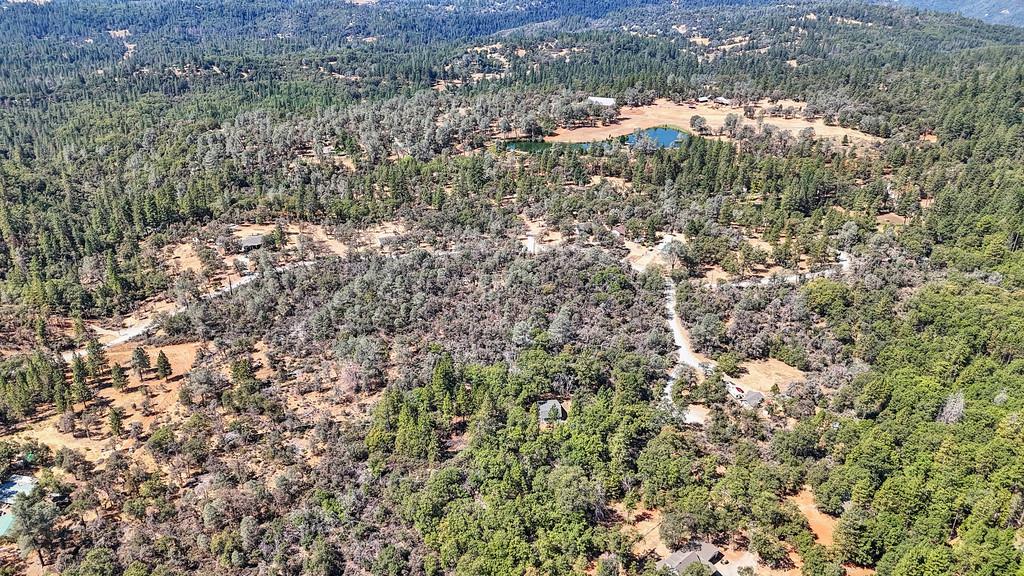 328 Antler Ridge Greenwood, CA 95635 - Photo 35 of 39