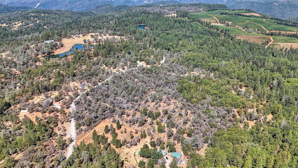 328 Antler Ridge Greenwood, CA 95635 - Photo 37 of 39