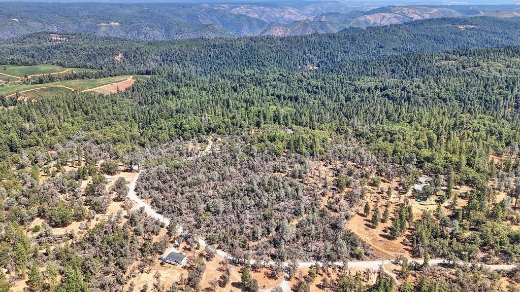 328 Antler Ridge Greenwood, CA 95635 - Photo 39 of 39