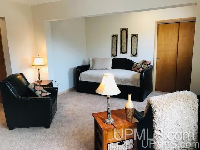 116 East Division Street Ishpeming, MI 49849 - Photo 9 of 24 Gallery Image 9
