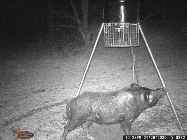 $400,000 | 14414 Interstate 45, Unit S, Richland, TX 76681