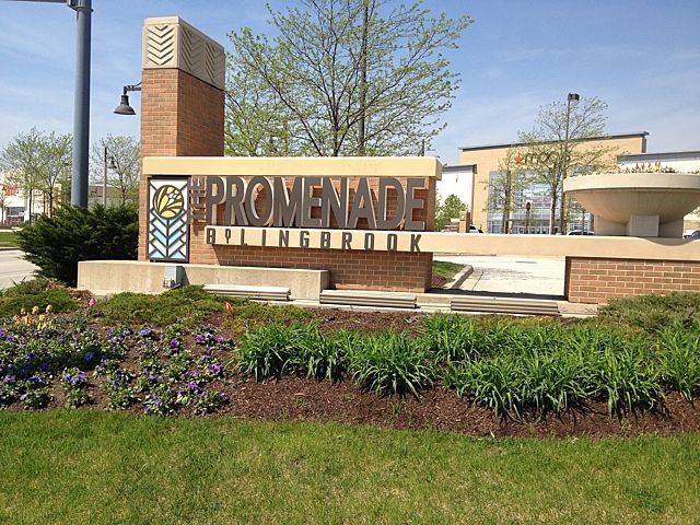 705 Rockhurst Road Bolingbrook, IL 60440 - Photo 24 of 25 a view of street with sign board