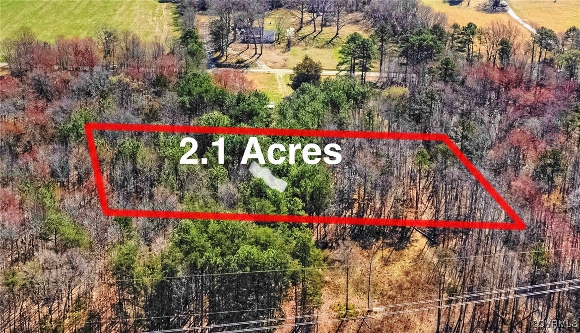 Aerial view with a forest view