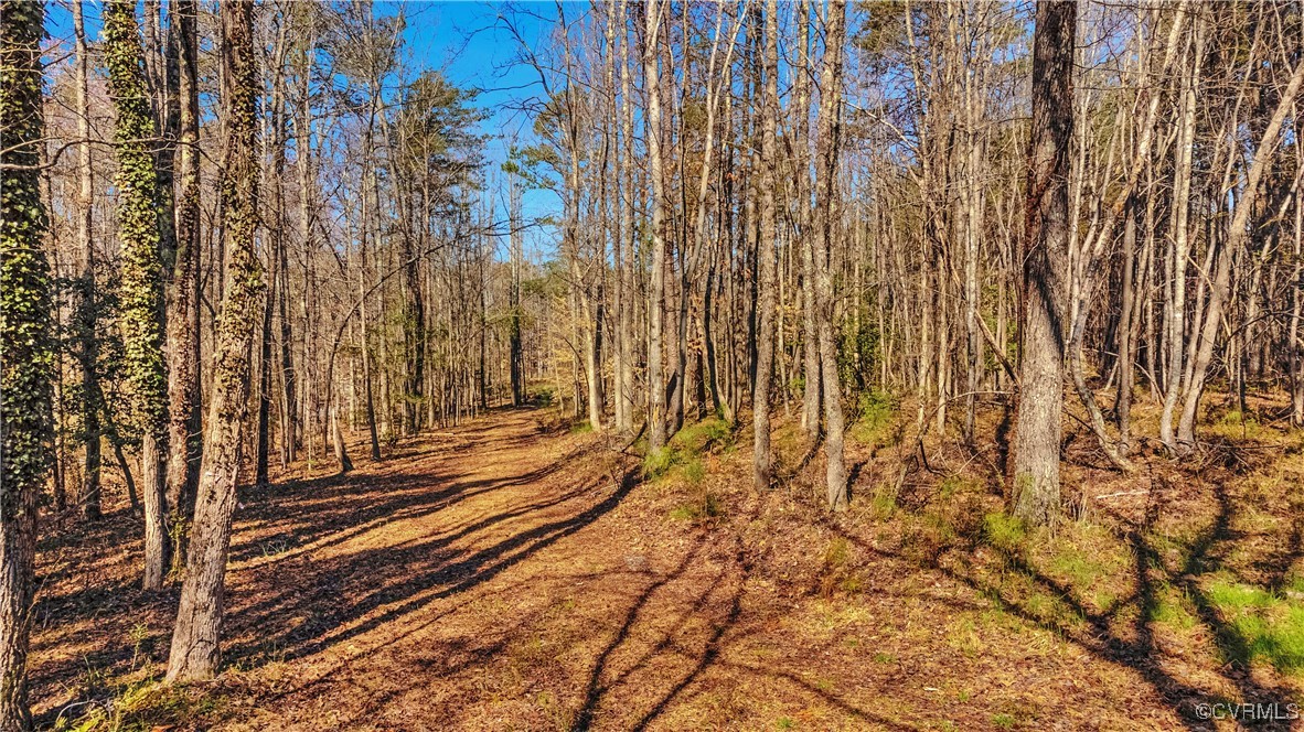 0 Pinhook Road Rockville, VA 23146 - Photo 2 of 8 View of local wilderness featuring a wooded view