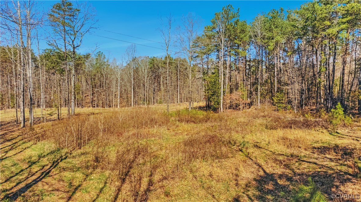 0 Pinhook Road Rockville, VA 23146 - Photo 3 of 8 View of nature with a wooded view