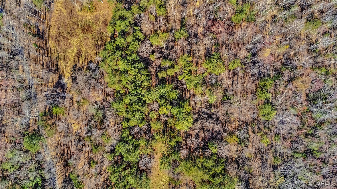 0 Pinhook Road Rockville, VA 23146 - Photo 6 of 8 Drone / aerial view with a wooded view