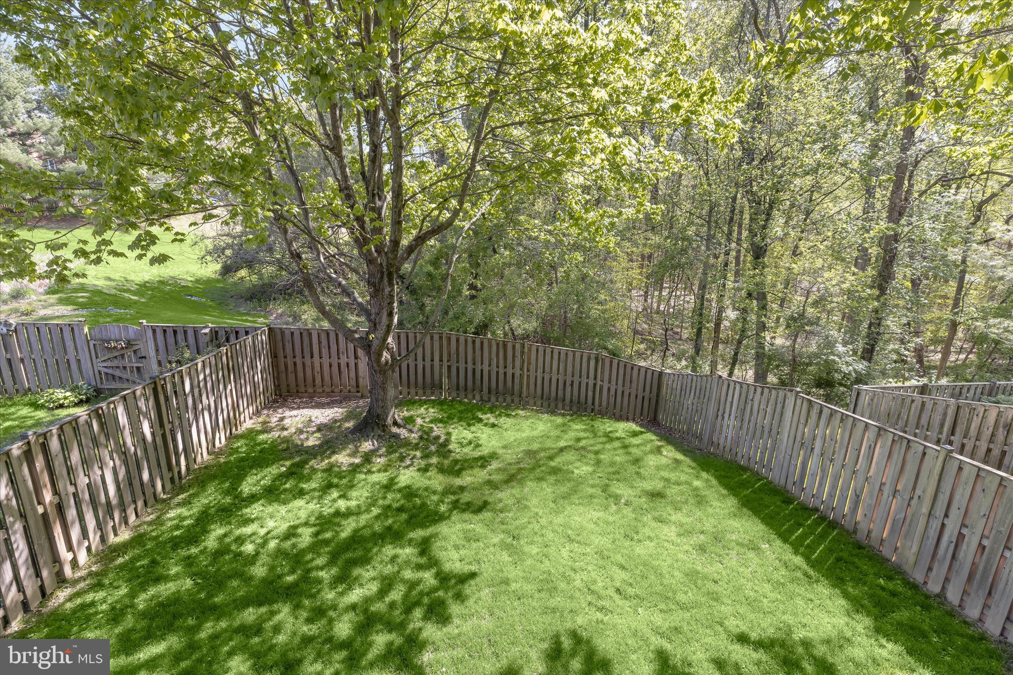4016 Forest Valley Road Parkville, MD 21234 - Photo 54 of 62 Fenced Rear Lawn