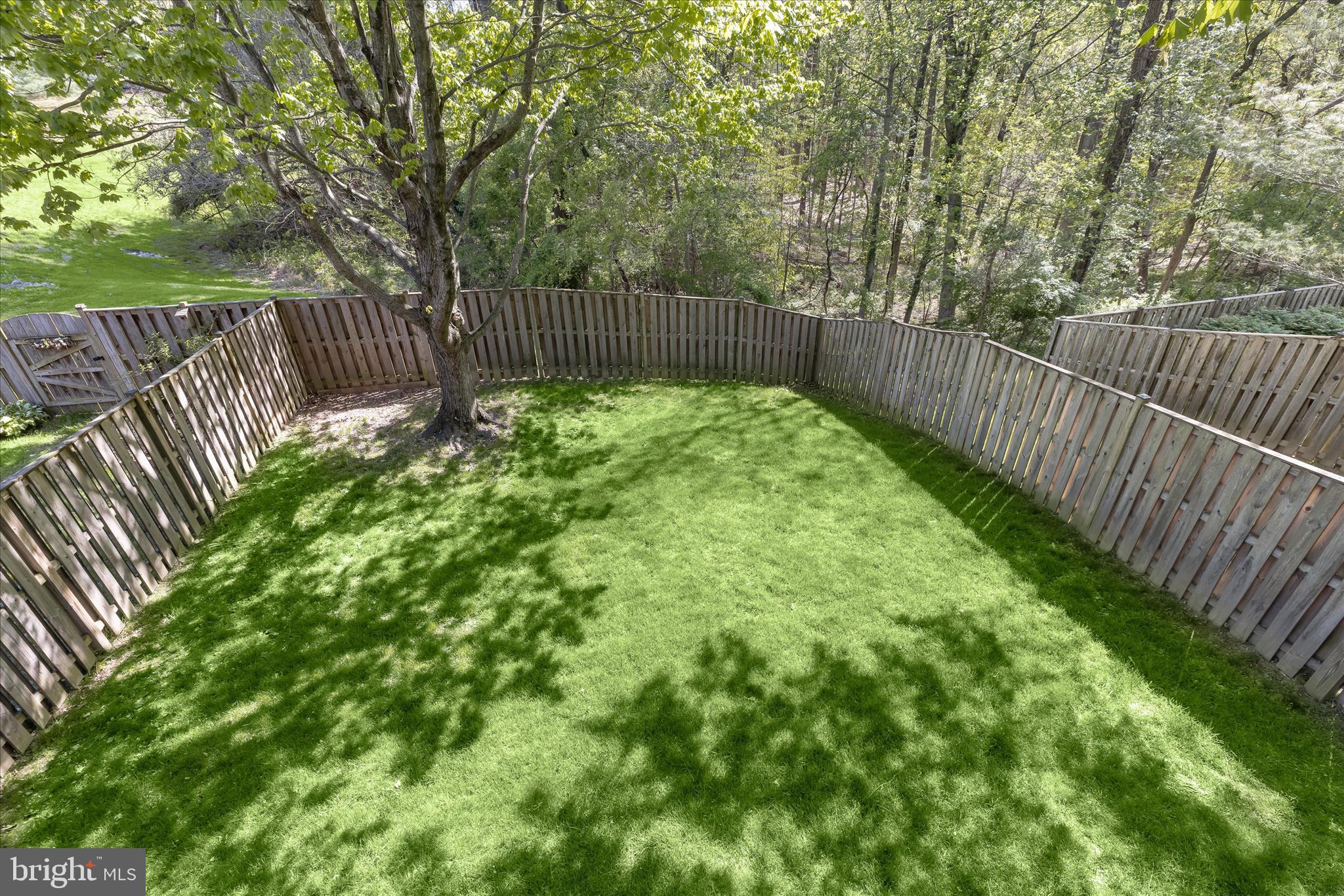 4016 Forest Valley Road Parkville, MD 21234 - Photo 55 of 62 Fenced Rear Lawn