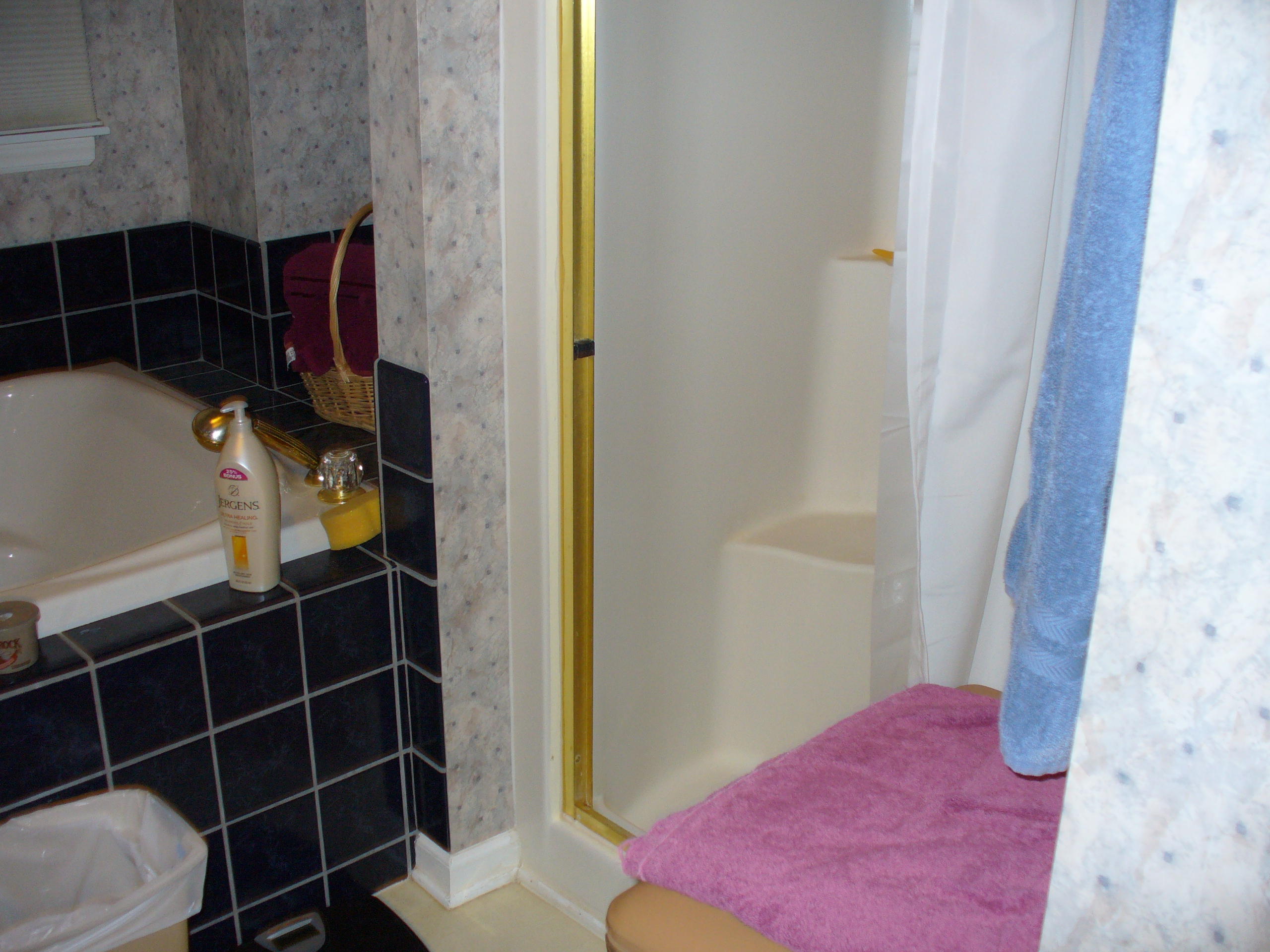 211 Oak Ridge Court Blue Ridge, VA 24064 - Photo 14 of 20 a bathroom with a sink and toilet