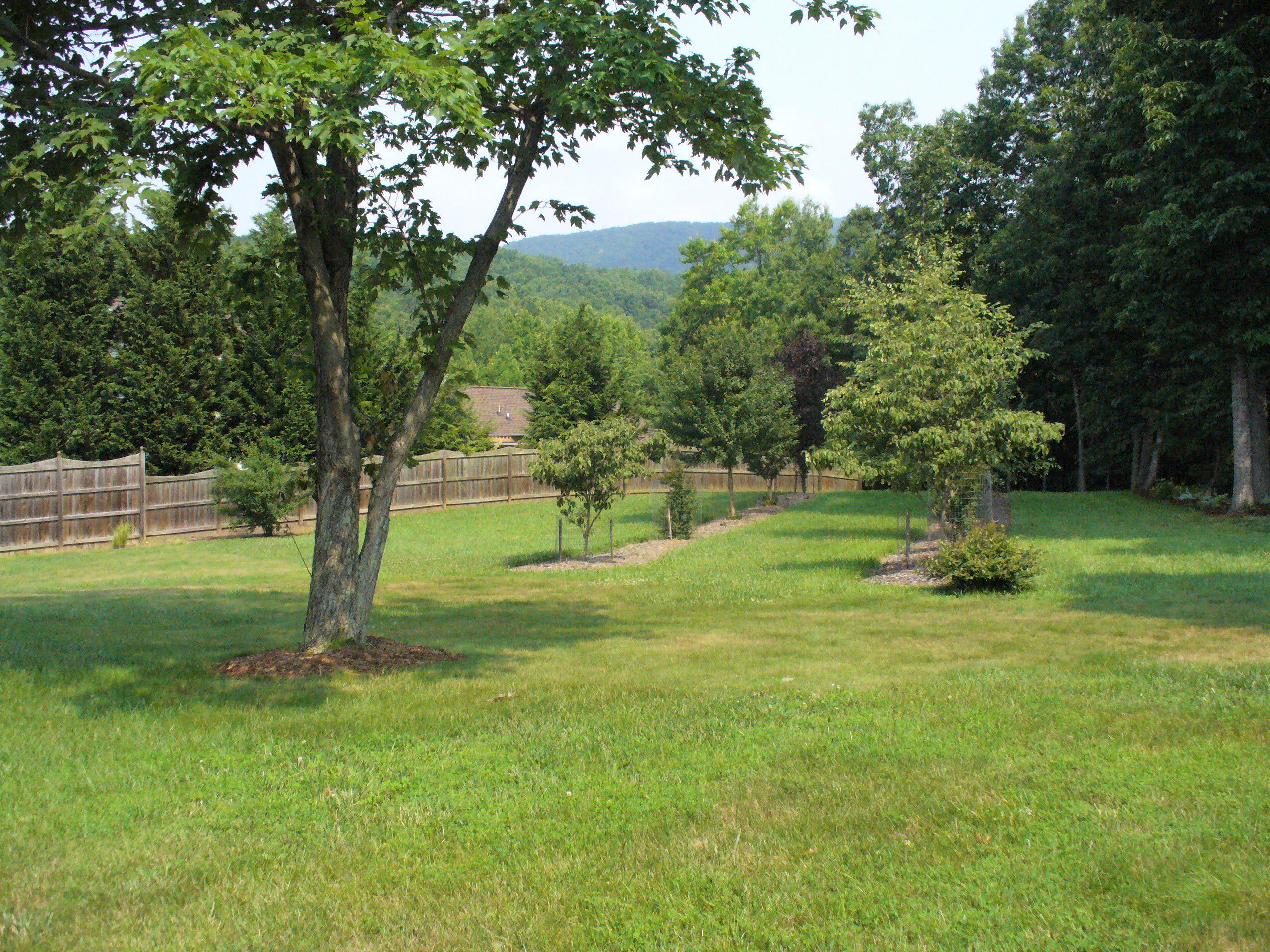211 Oak Ridge Court Blue Ridge, VA 24064 - Photo 10 of 20 a view of a park