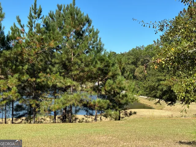 a view of a yard with large trees