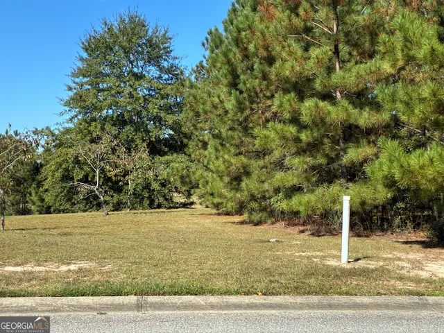 a view of a large body of water with a large tree