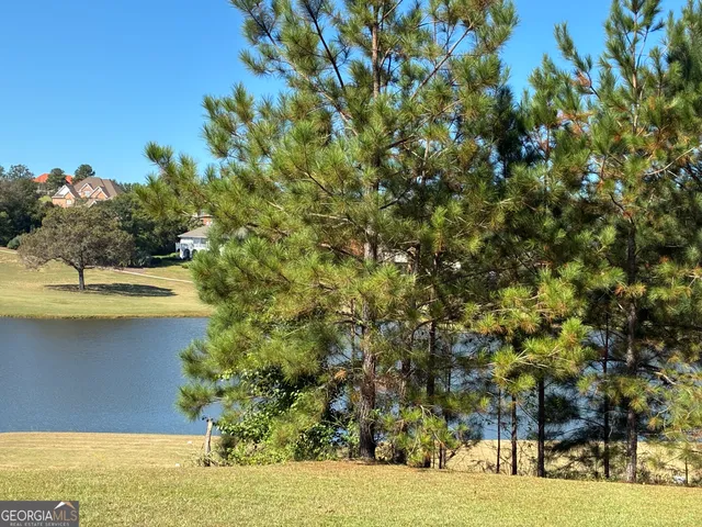 a view of a large yard with lots of green space