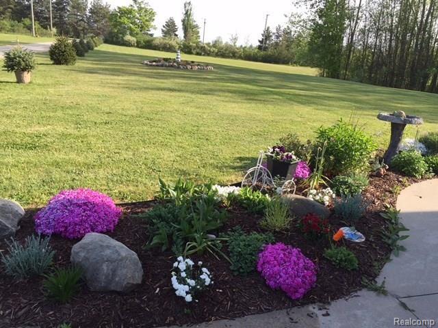 6274 Hewitt Road Jeddo, MI 48032 - Photo 3 of 35 C:\Users\mark\Pictures\6274 Hewitt Flowers.jpeg