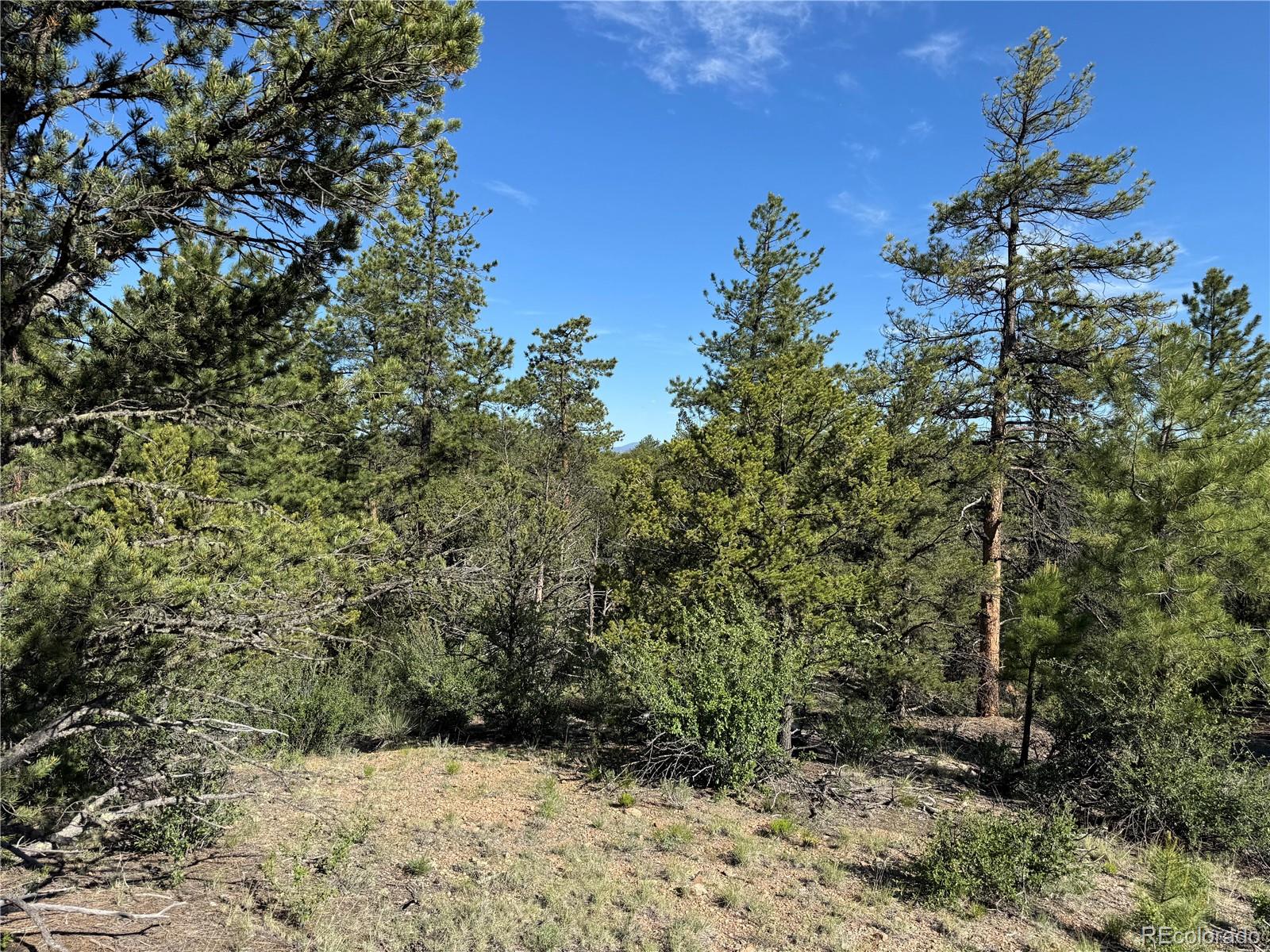 69 Coyote Run Road Cotopaxi, CO 81223 - Photo 11 of 21