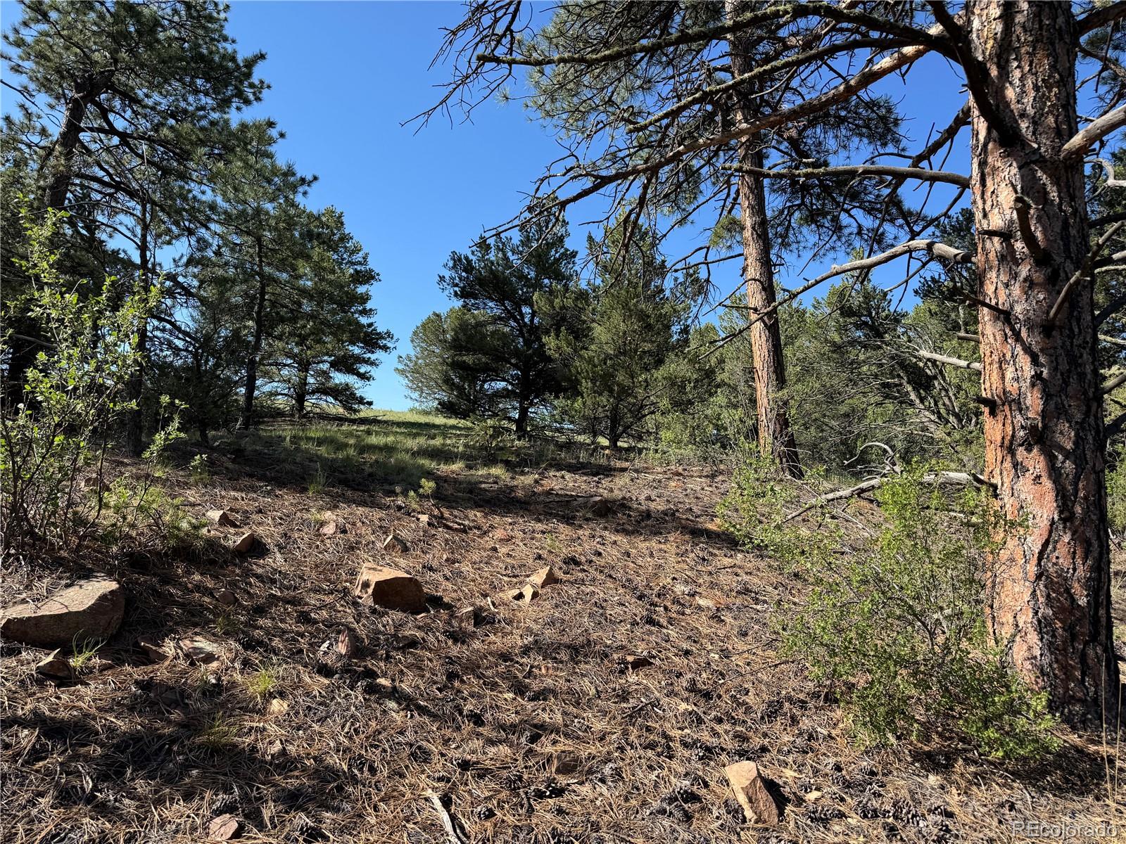 69 Coyote Run Road Cotopaxi, CO 81223 - Photo 12 of 21