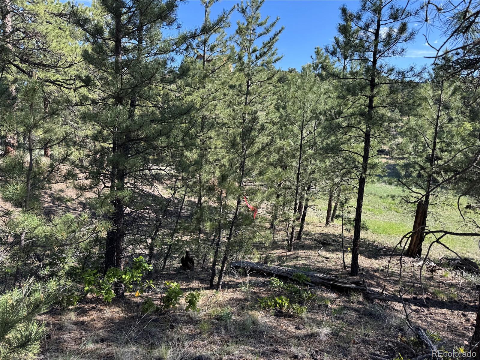 69 Coyote Run Road Cotopaxi, CO 81223 - Photo 14 of 21