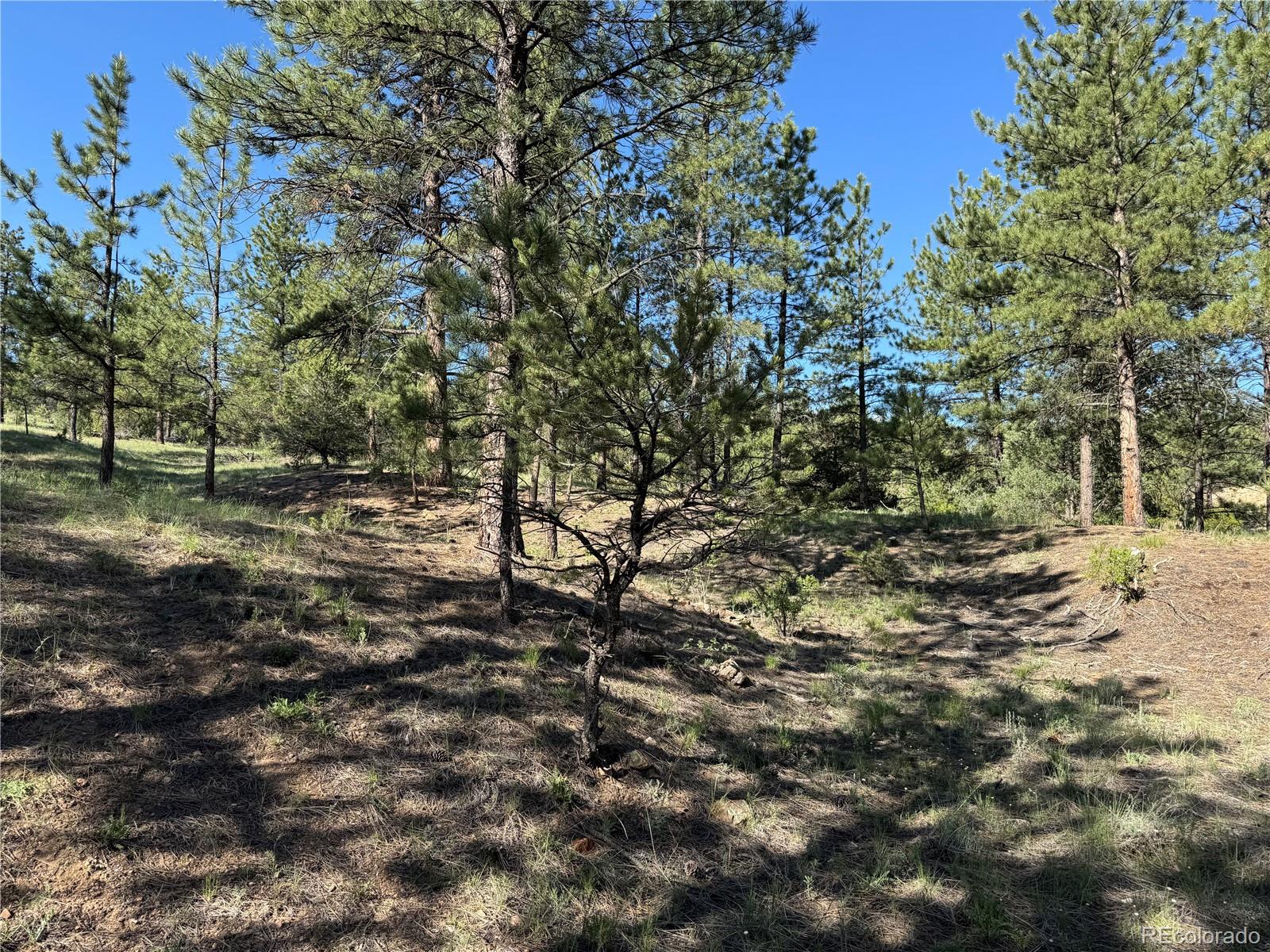 69 Coyote Run Road Cotopaxi, CO 81223 - Photo 15 of 21