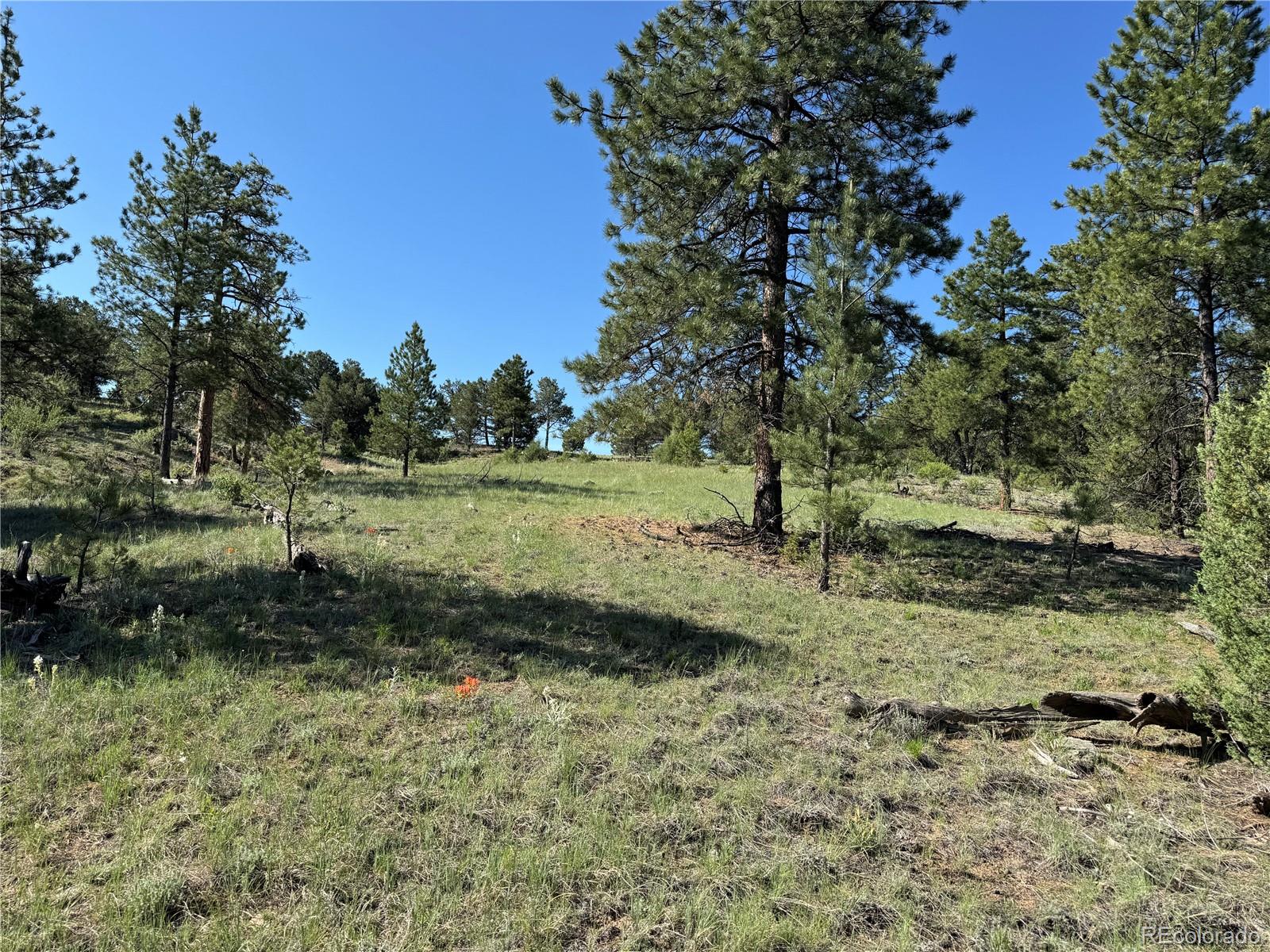 69 Coyote Run Road Cotopaxi, CO 81223 - Photo 16 of 21