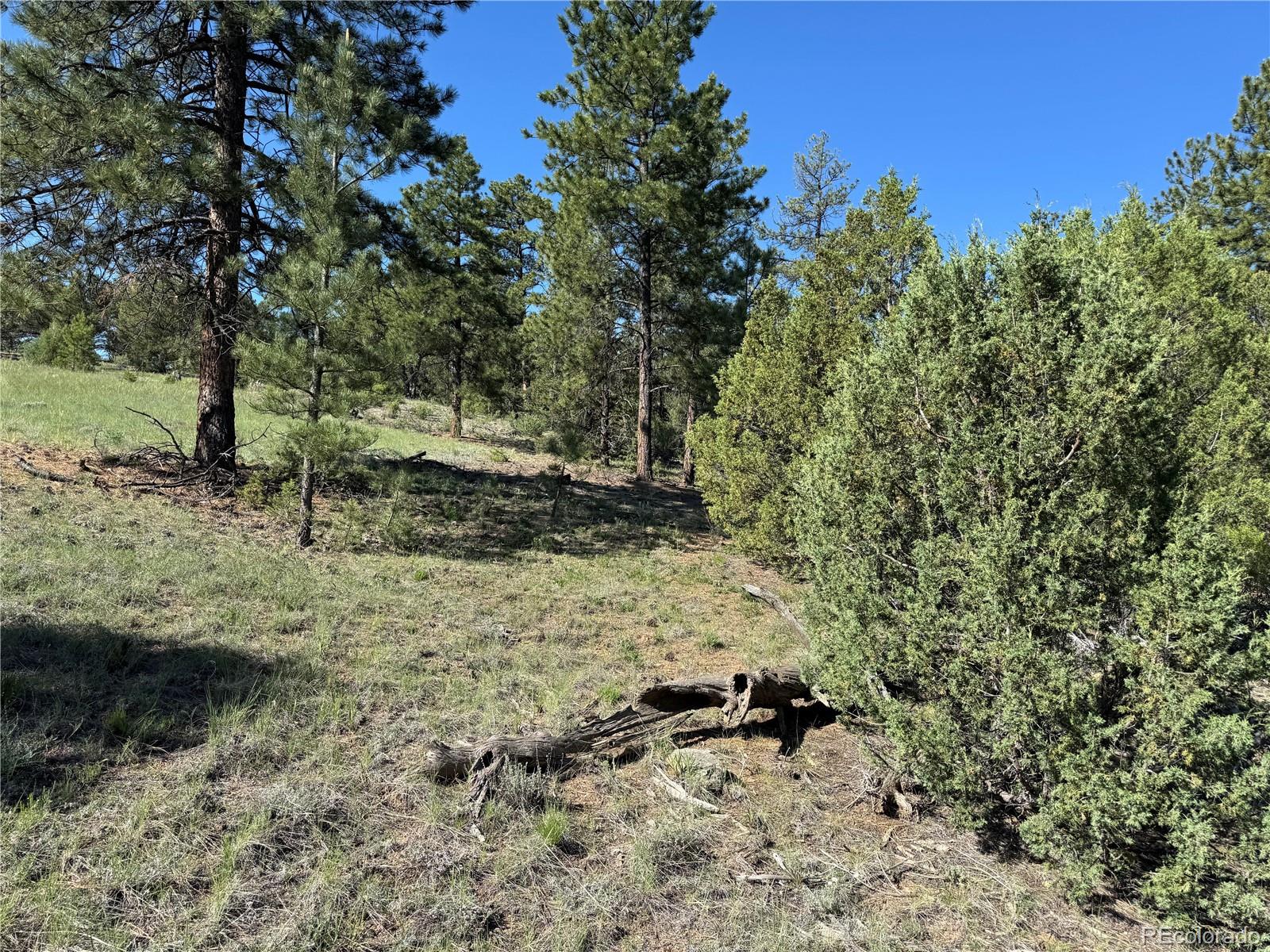 69 Coyote Run Road Cotopaxi, CO 81223 - Photo 18 of 21