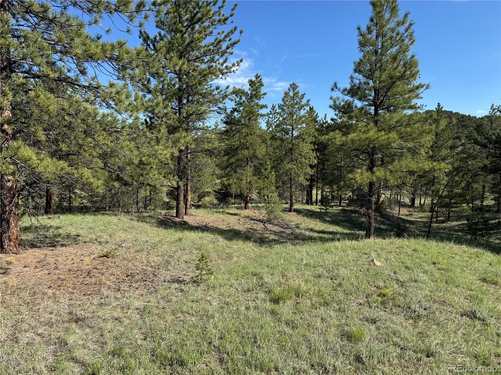 69 Coyote Run Road Cotopaxi, CO 81223 - Photo 19 of 21