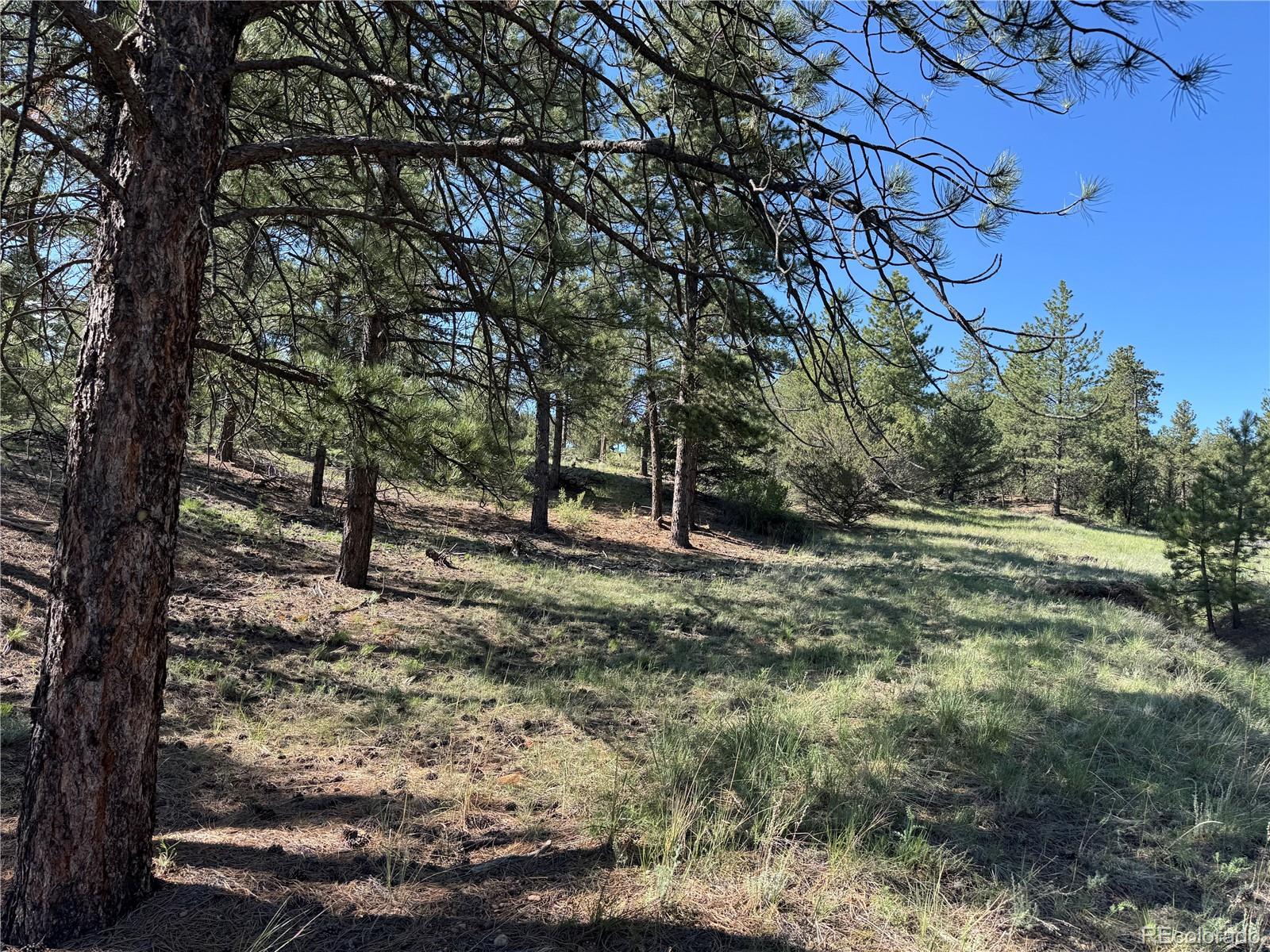 69 Coyote Run Road Cotopaxi, CO 81223 - Photo 21 of 21