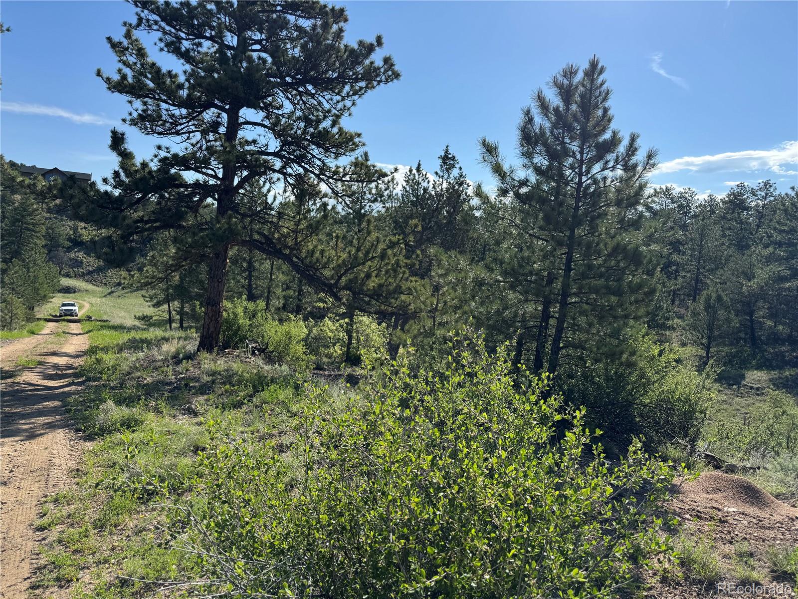 69 Coyote Run Road Cotopaxi, CO 81223 - Photo 6 of 21