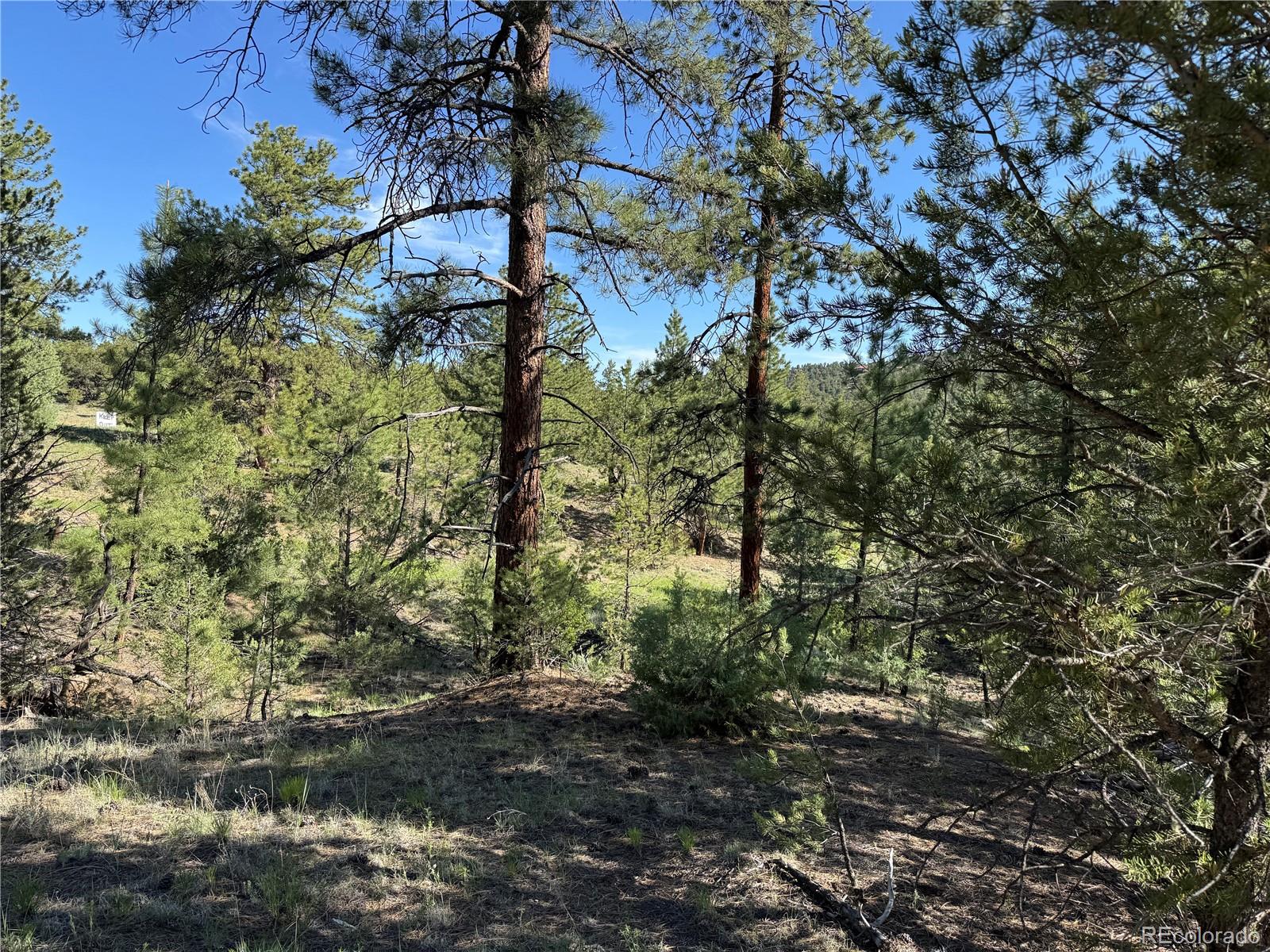 69 Coyote Run Road Cotopaxi, CO 81223 - Photo 9 of 21