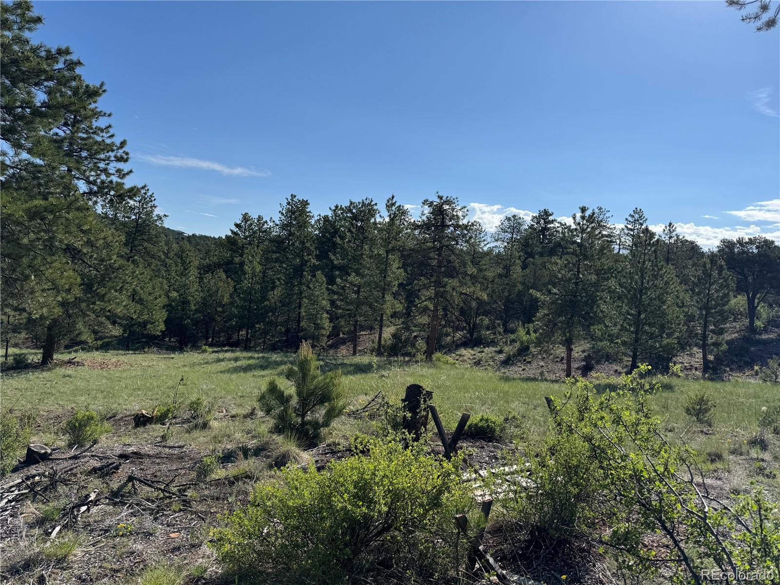 69 Coyote Run Road Cotopaxi, CO 81223 - Photo 10 of 21