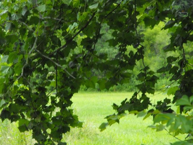 3886 South Fork Road Stanton, KY 40380 - Photo 3 of 11 Listing Photo