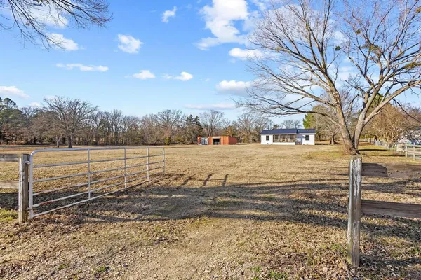 a view of a yard with trees