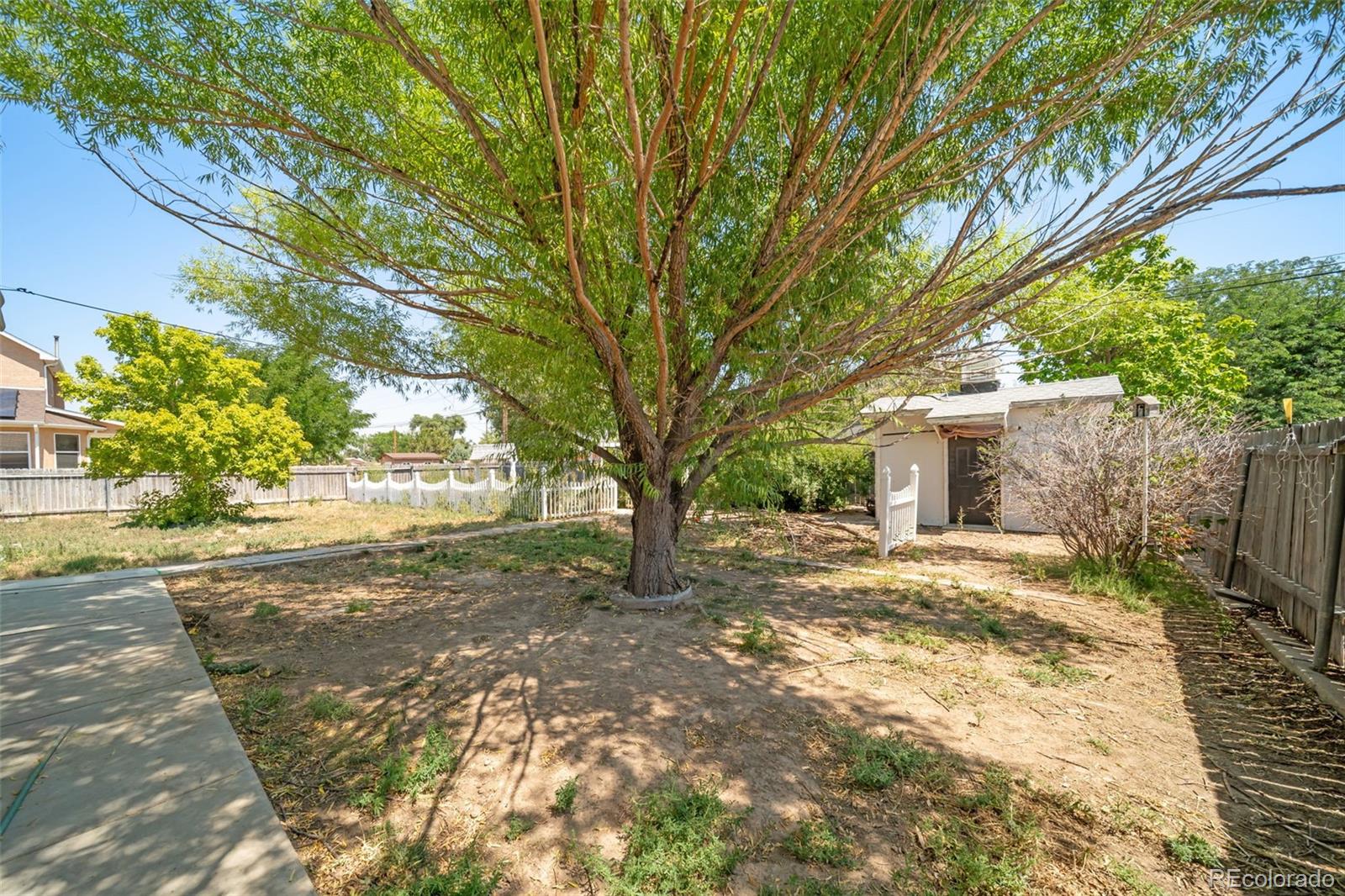 305 Kimble Avenue Swink, CO 81077 - Photo 36 of 44 a view of a yard with plants and trees