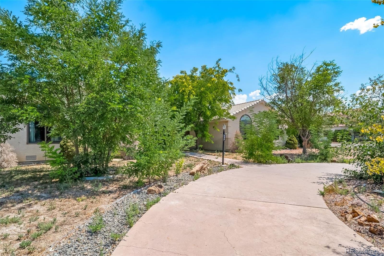 305 Kimble Avenue Swink, CO 81077 - Photo 6 of 44 a wooden bench with view of trees