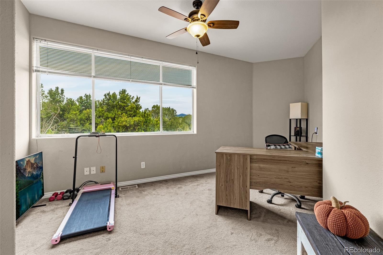 3115 Canyon Heights Road Pueblo, CO 81005 - Photo 26 of 44 a view of workspace with a window and gym equipment