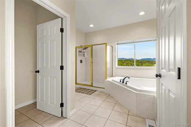 a bathroom with a tub a sink and a shower