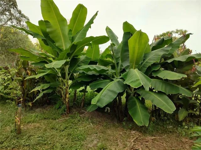 $375,000 | 10342 Shady Drive, Hudson, FL 34669