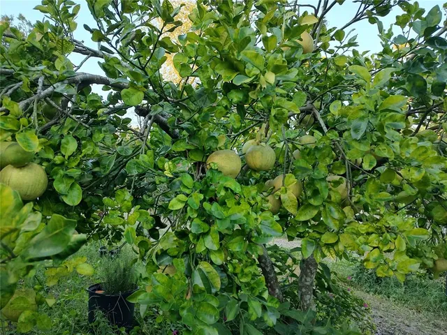 $375,000 | 10342 Shady Drive, Hudson, FL 34669