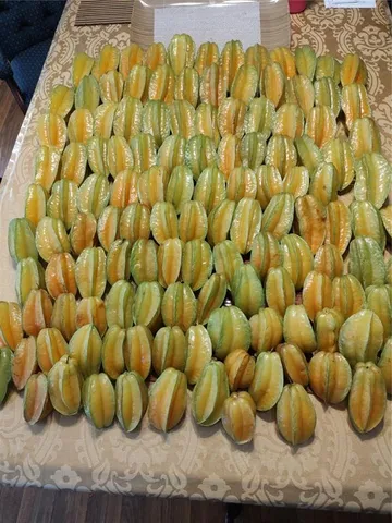 $375,000 | 10342 Shady Drive, Hudson, FL 34669