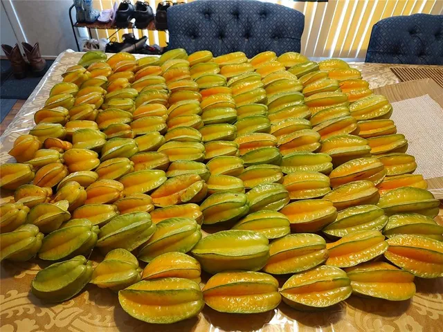 $375,000 | 10342 Shady Drive, Hudson, FL 34669