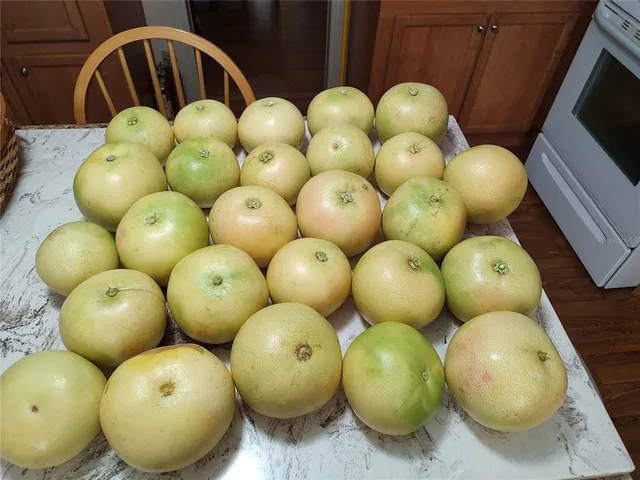 $375,000 | 10342 Shady Drive, Hudson, FL 34669