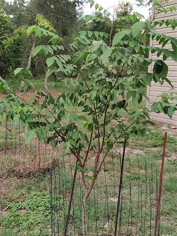 $375,000 | 10342 Shady Drive, Hudson, FL 34669